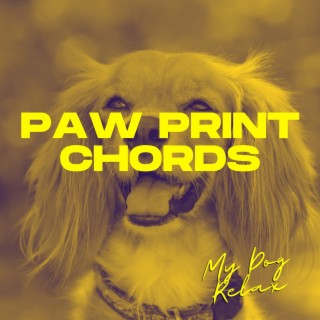 Paw Print Chords Complementing Daily Journeys