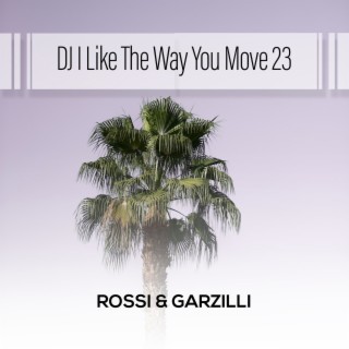 DJ I Like The Way You Move 23