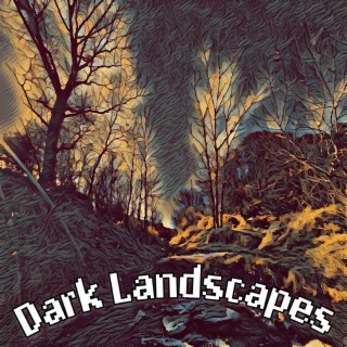Dark Landscapes