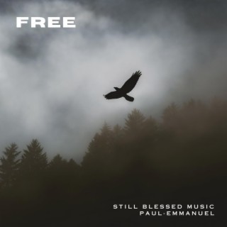 Free ft. Still Blessed Music lyrics | Boomplay Music