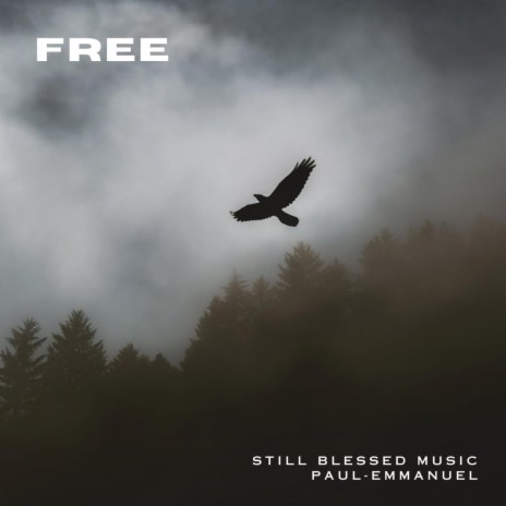 Free ft. Still Blessed Music