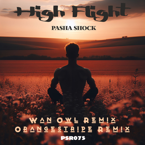 High Flight (Wan Owl Remix) | Boomplay Music