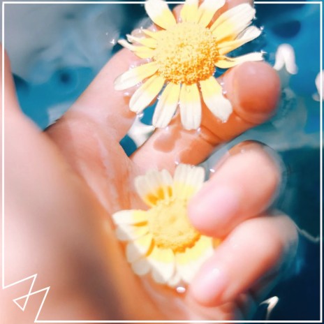 Flowers | Boomplay Music