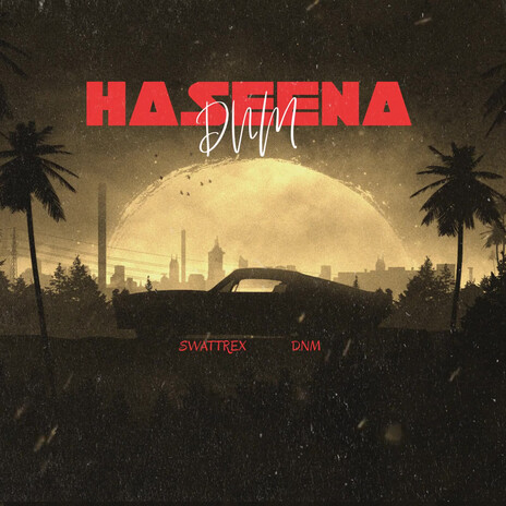 Haseena ft. Swattrex | Boomplay Music