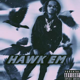 Hawk Em lyrics | Boomplay Music