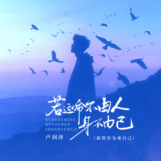 若这命不由人身不由己 (就别再为难自己) lyrics | Boomplay Music