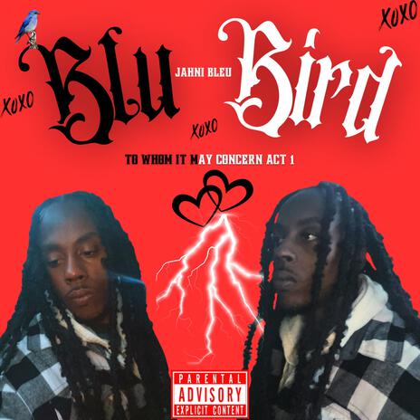 Blu Bird. | Boomplay Music