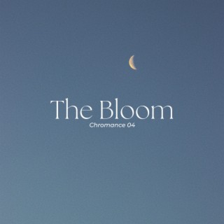 The Bloom instru