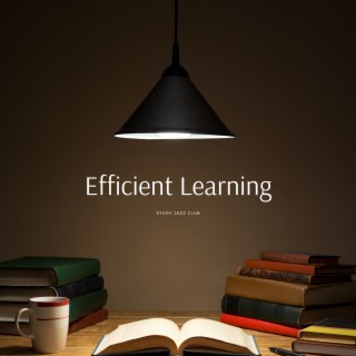 Efficient Learning: Strategic Study Methods