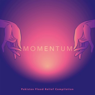 Momentum - Pakistan Flood Relief Compilation