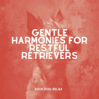 Gentle Harmonies for Restful Retrievers