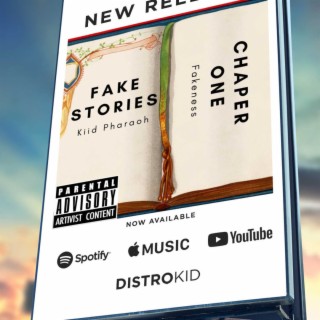 Fake Stories (Freestyle) (Radio Edit)