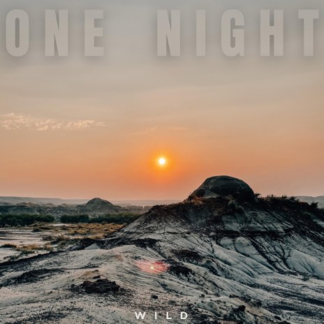 One Night (Freestyle) | Boomplay Music