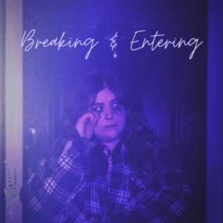 Breaking and Entering lyrics | Boomplay Music