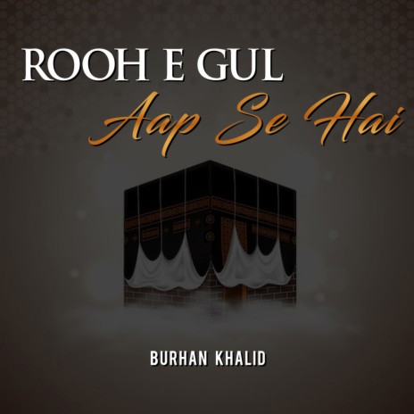 Rooh E Gul Aap Se Hai | Boomplay Music