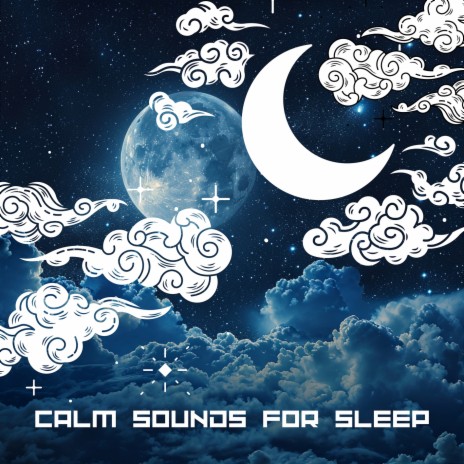Midnight Rest ft. Surrounding Life & Sleepy Sine
