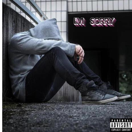 I'm Sorry | Boomplay Music