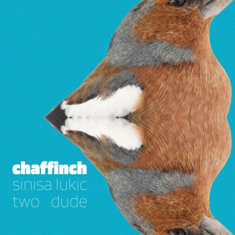 chaffinch ft. Two Dude | Boomplay Music