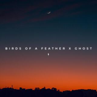 Birds of a Feather x Ghost