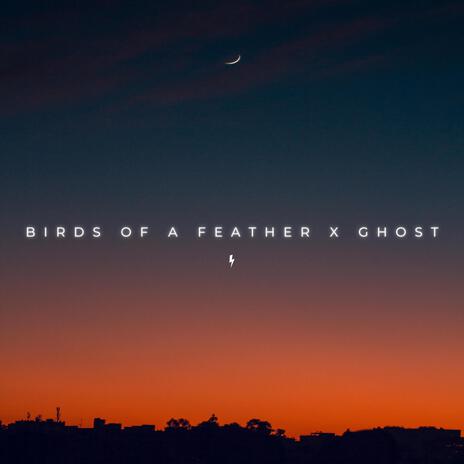 Birds of a Feather x Ghost | Boomplay Music