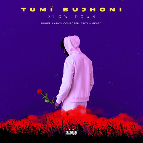 Tumi Bujhoni - Slow Down ft. Bangla Lofi & Vibe | Boomplay Music