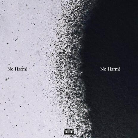 No Harm! | Boomplay Music