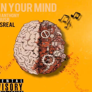 Open Your Mind