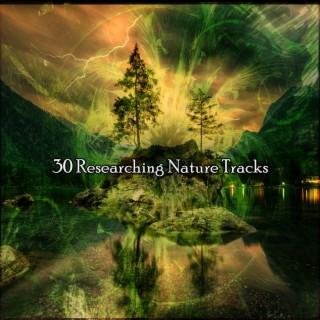 !!!! 30 Researching Nature Tracks !!!!
