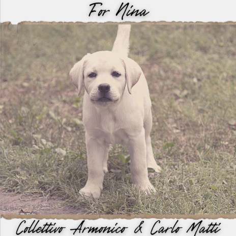 For Nina ft. Collettivo Armonico | Boomplay Music