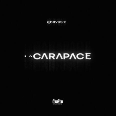 Carapace | Boomplay Music