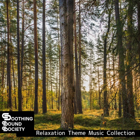 A Celebration of Nature | Boomplay Music