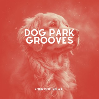 Dog Park Grooves: My Dog Dreams