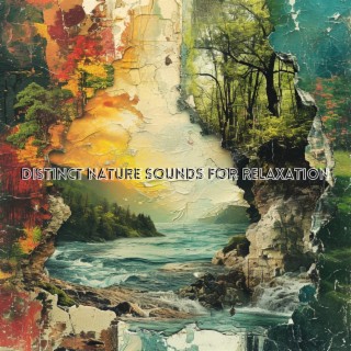 Distinct Nature Sounds for Relaxation, Mindfulness, and Therapeutic Massage