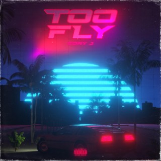 Too Fly lyrics | Boomplay Music