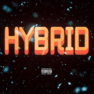 Hybrid