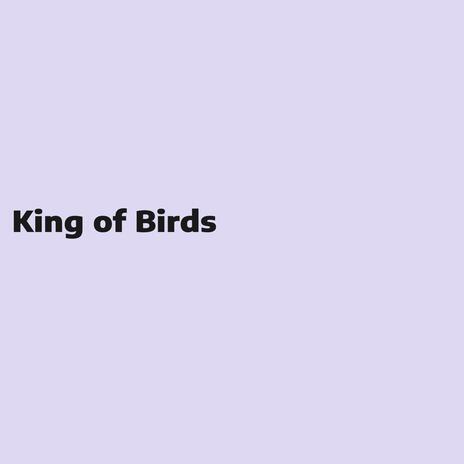 King of Birds | Boomplay Music