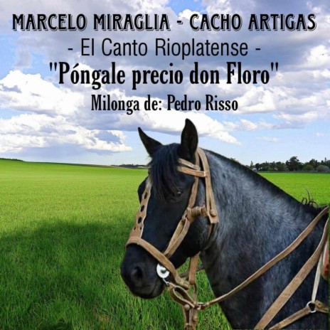 Pongale precio Don Floro | Boomplay Music