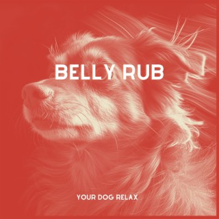 Belly Rub: Harmonies for the Heart of Calm Companions