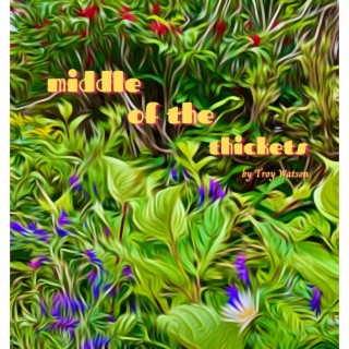 Middle of the Thickets