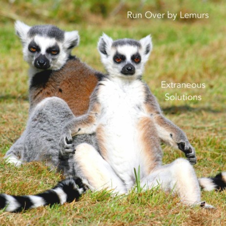 Run Over By Lemurs | Boomplay Music