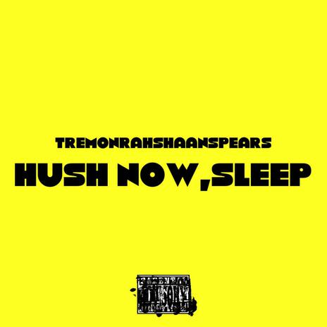 hush now, sleep | Boomplay Music