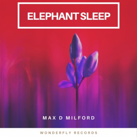 Elephant Sleep