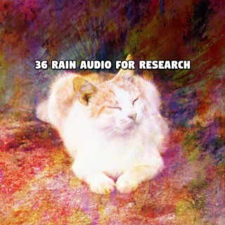 !!!! 36 Rain Audio For Research !!!!