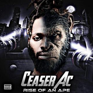 Ceaser AC: Rise of An Ape