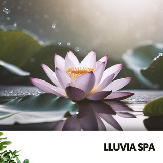 Lluvia Spa: Drenching Your Senses in Serenity