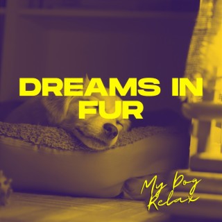 Dreams in Fur