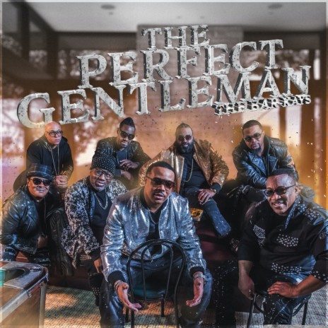 Perfect Gentleman | Boomplay Music