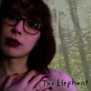 The Elephant lyrics | Boomplay Music