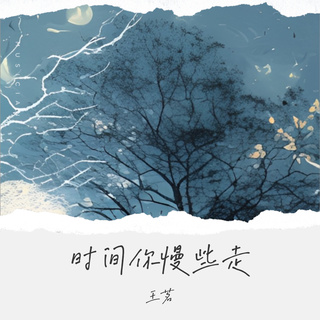 时间你慢些走 lyrics | Boomplay Music