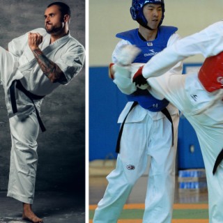 Jed Anthony Ariens | Karate Vs Taekwondo: Which Martial Arts Style is Better